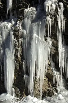 Cold Temperature Photography Imprime: Icicles