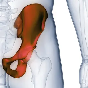 Joint Pain Diagnosis Imprime: Image converted using ifftoany