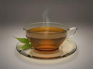 Hot Beverage Image Imprime: An image of a nice cup of tea
