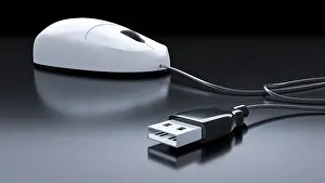 Computer Mouse Imprime: An image of a typical computer mouse