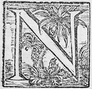 Historic American Illustration Imprime: Initial or an initial N, decorative initial letter