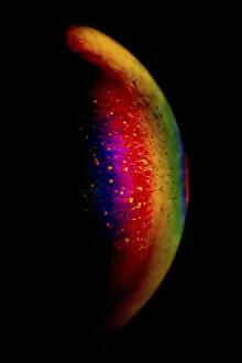 Natural Scientific Research Imprime: Interference of equal thickness