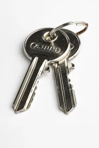 Light Colored Background Imprime: Key ring with two keys on a key ring