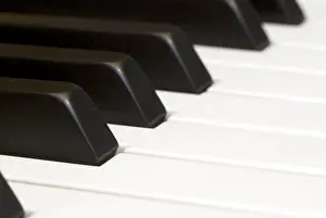 Black And White Studio Photo Imprime: Keyboard