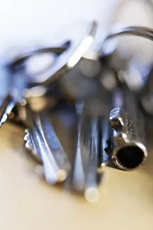 Studio Shot Of Keys Imprime: Keys on a key ring