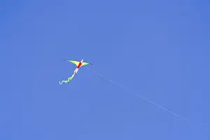 Fly A Kite Imprime: A kite