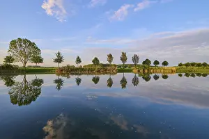Germany Historic Landmark Imprime: Lake in spring with row of trees and reflection