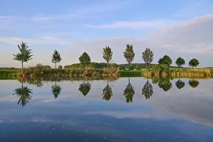 Thuringia Lake Imprime: Lake in spring with row of trees and reflection