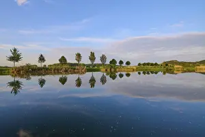 Thuringia Landscape Photography Imprime: Lake in spring with row of trees and reflection