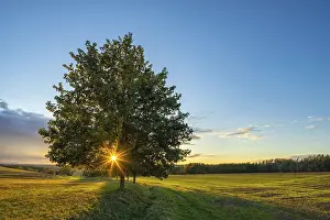 Germany Agricultural Scenery Imprime: Landscape with fields at sunset