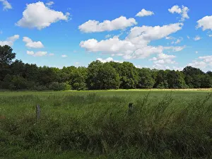 Imágenes fechadas el 24 de agosto de 2024: Paisaje con bosque y campos.