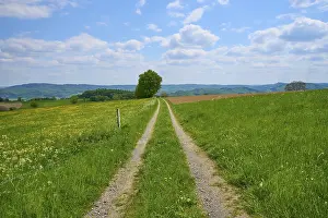 Cloudy European Landscape Imprime: Landscape, meadow path, clouds