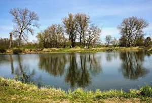 Landscape Photography Germany Imprime: Landscape on the river Oder in spring