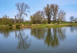 Spring In Germany Imprime: Landscape on the river Oder in spring