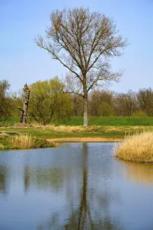 Landscape Photography Germany Imprime: Landscape on the river Oder in spring