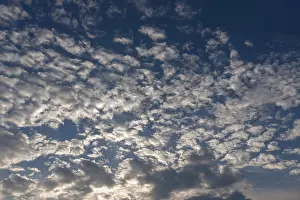 Altocumulus Clouds Imprime: Large fleecy clouds (Altocumulus)