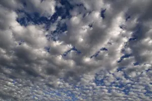 Altocumulus Clouds Imprime: Large fluffy clouds (Altocumulus)