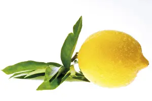 Live Healthy Balanced Diet Imprime: Lemon