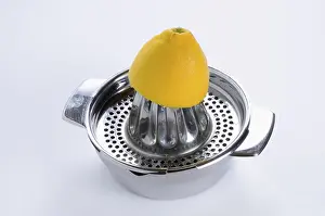 Studio Shot Of Lemon Imprime: Lemon on a lemon squeezer