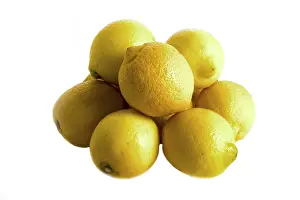 Yellow Citrus Fruit Imprime: Lemons