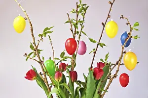 Germany Studio Photography Imprime: Still life with Easter eggs, Easter bouquet