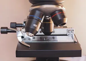 Detailed Macro Photography Imprime: Light microscope detail