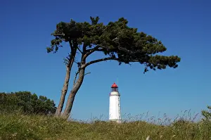 Baltic Sea Shoreline Imprime: Lighthouse
