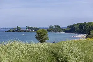 Beachfront Landscape Photo Imprime: Lighthouse, beach, tree, Bulk