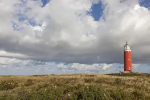 De Cocksdorp Beach Scene Imprime: Lighthouse Eierland with dunes