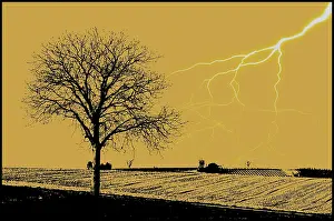 Deciduous Tree Silhouette Imprime: Lightning and tree