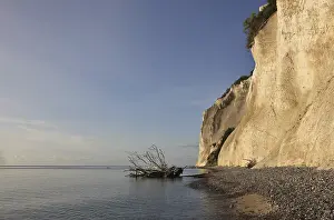 Scandinavian Landscape Photo Imprime: Limestone cliff in Denmark