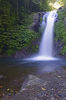 Long Exposure Nature Photography Imprime: Little Gitgit Waterfall, Central Bali