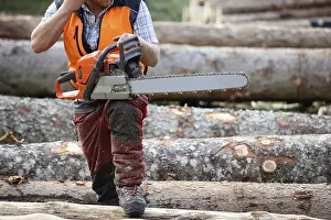 Upper Bavaria Forestry Imprime: Logging work in the local forest