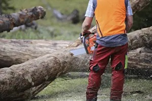 Upper Bavaria Forestry Imprime: Logging work in the local forest
