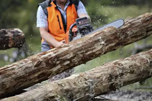 Bavarian Forest Landscape Imprime: Logging work in the local forest