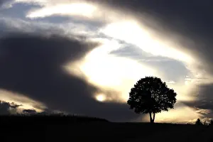 Dramatic Sky Europe Imprime: Lonely tree in front of a dramatic sky
