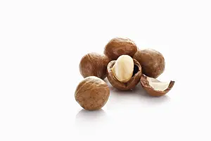 Studio Shot Of Nuts Imprime: Macadamia nuts, one of them opened