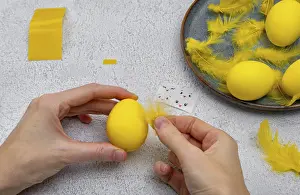 Easter Chick Decoration Imprime: How to make a chick from eggs for Easter decor