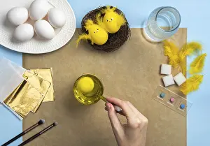 Handmade Easter Decorations Imprime: How to make a chick from eggs for Easter decor