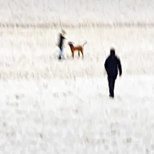 North Sea Shoreline Landscape Imprime: Man with child and dog on the beach