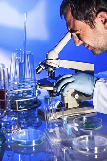 Scientist In Laboratory Imprime: Man is looking into the ocular of microscope
