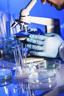 Scientist In Lab Imprime: Man is looking into the ocular of microscope