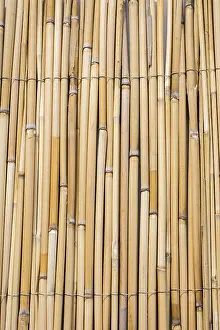 Uninhabited Desert Scene Imprime: Mat as straw as abstract texture pattern