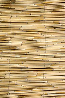 Abstract Straw Texture Imprime: Mat as straw as abstract texture pattern