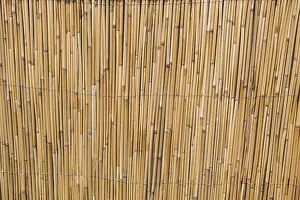 Abstract Straw Texture Imprime: Mat as straw as abstract texture pattern