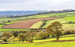 Deserted Farmland UK Imprime: Meadows and Fields over Devon in the colors of fall