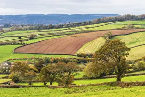 Autumnal Atmosphere Uk Imprime: Meadows and Fields over Devon in the colors of fall
