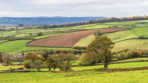 English Countryside Imprime: Meadows and Fields over Devon in the colors of fall