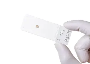 Scientific Research Tools Imprime: Microscope slide, cut out