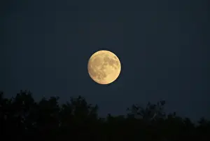 Night Sky Photography Imprime: Moon